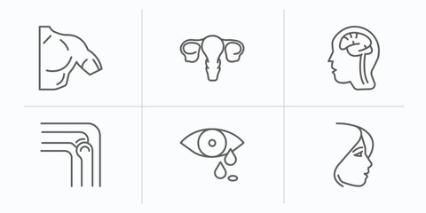 human body parts outline icons set. thin line icons such as men shoulder, human uterus, brain inside human head, bones joint, sweat or tear drop, face of a woman vector.