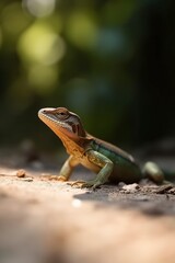 Obraz premium illustration, lizard on the ground in nature, ai generative.