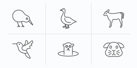 animals outline icons set. thin line icons such as kiwi bird, goose, calf, humming bird, groundhog, guinea pig vector.