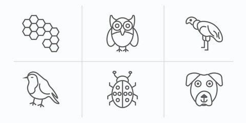 Obraz premium animals outline icons set. thin line icons such as bee hive, big eyes owl, condor, robin, ladybird, boxerhead vector.