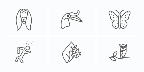 animals outline icons set. thin line icons such as afghan hound, hornbill, japanese butterfly, drunk, bug on leaf, wise vector.
