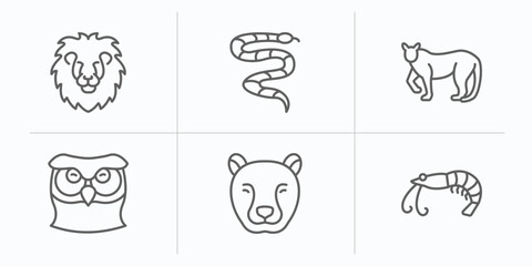 animals outline icons set. thin line icons such as lion head, coral snake, puma, big owl, cheetah, prawn vector.
