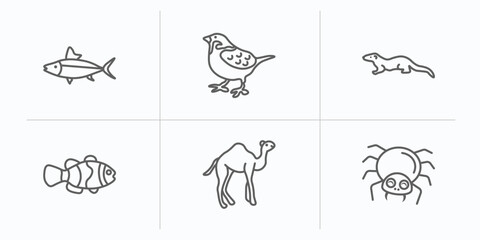 animals outline icons set. thin line icons such as salmon, sparrow, mink, clown fish, camel, spider vector.
