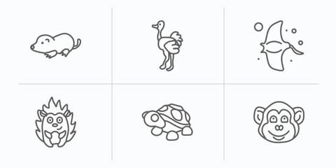 animals outline icons set. thin line icons such as mole, ostrich, manta ray, hedgehog, turtle, chimpanzee vector.