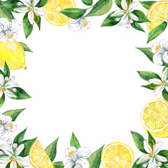 Watercolor square lemon frame isolated on white . Hand drawn citrus border illustration