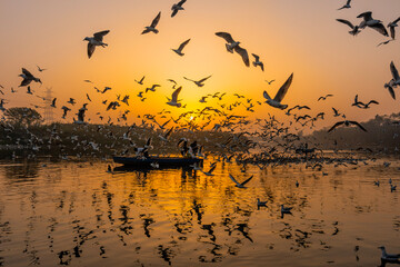 Yamuna Ghat - Sunrise to watch