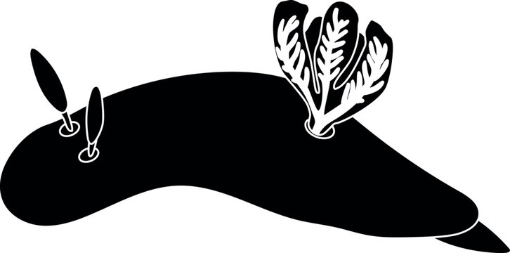 black sea slug with white details clip art preview