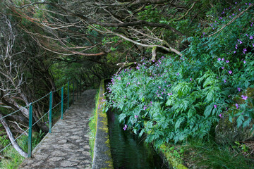 Madeira Urlaub im April 2023