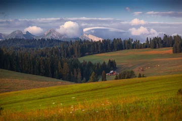 Foto op Aluminium Kacwin i okolice - Bacówka i krajobraz Spiszu.  Piękny krajobraz wiejskich pól.  © rogozinski