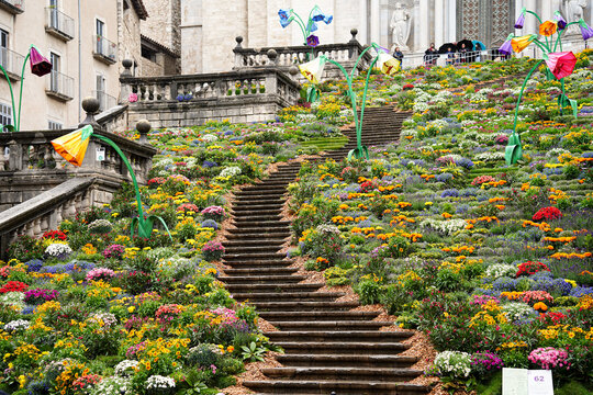 Church ancient stone stairs decorated with flowers in Historic center, spring festival flower, temps de flors 2023. Flower time
