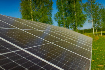 Solar  panels close up outside next to a forest trees in a sunny day