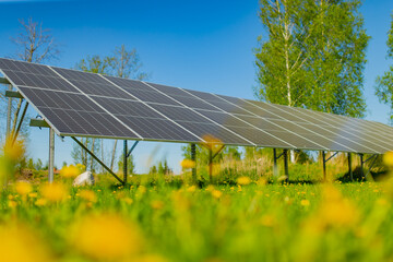 Green energy, solar panels mounted in green flower garden in summer. Clean energy source from sun