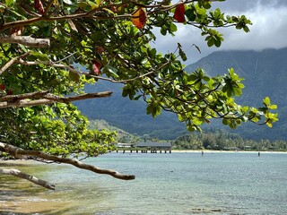 Tree with Hanalei Bay and Hanalei Pier in the background