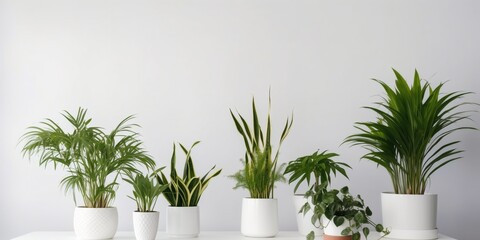 House plants, green home gardening concept, generative ai illustration