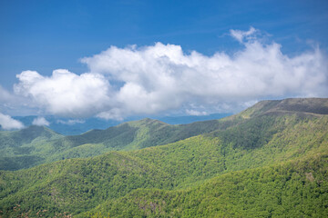 pickens nose NC