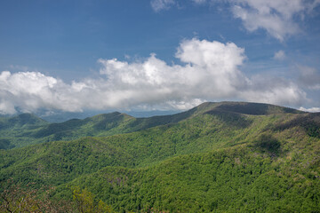 pickens nose NC