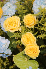 Rosas
