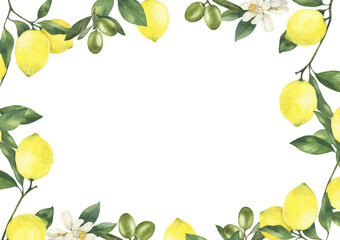 Lemons with leaves and olives hand drawn watercolor illustration. Lemon frame isolated on white