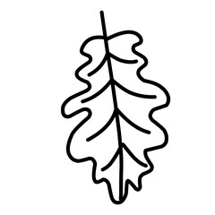 Christmas pine cone  branch spruce and fir  evergreen vector icon  winter tree  green plant