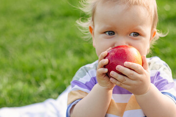 Cute little toddler boy eating ripe red apple outdoor