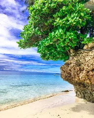 Foto auf Acrylglas Nungwi Strand, Tansania tree on the Nungwi beach. Tanzania. Zanzibar