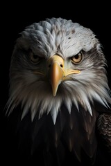Obraz premium illustration, intense eagle, generative ai