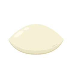 Fish balls on white background. Street Asian food. Vector illustration. Fish balls isolated vector.