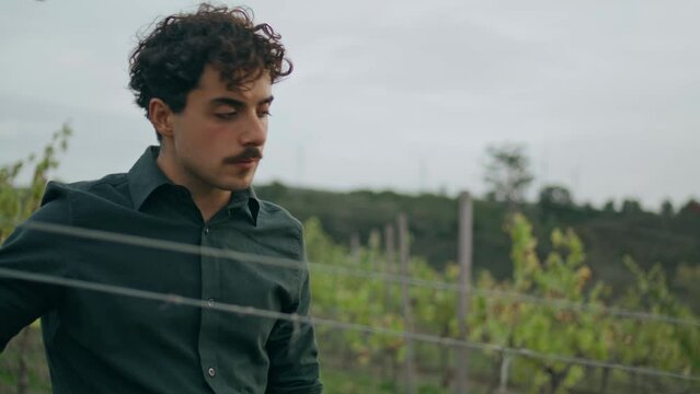 Viticulturist walking grape plantation looking on yellow vine bushes close up.