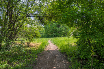 Fototapeta premium Spring view of South Park in city of Sofia, Bulgaria