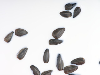 Abstract background of white liquid and small black objects floating in it. Closeup. View from above