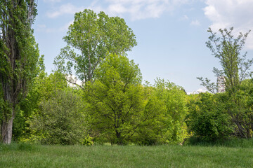 Spring view of South Park in city of Sofia, Bulgaria