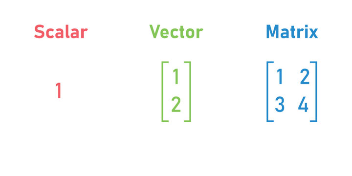 Scalars, vectors and matrices in linear algebra in mathematics.
