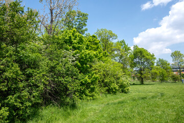 Spring view of South Park in city of Sofia, Bulgaria