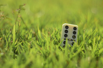 Domino pieces with grass in the background on a sunny day, abstract concept