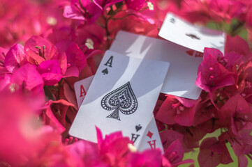 Ace of clubs, golds, cups, sticks and hearts, with flowers in the background, abstract concept