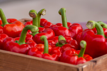 Fresh ripe red sweet bell paprika close up, new harvest