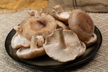 Fresh brown Lentinula edodes or shiitake edible mushrooms from Japan