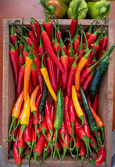 Fresh ripe red, orange, yellow hot chili paprika pepper close up