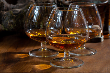 Tasting of aged french cognac brandy alcoholic drink in old cellars of cognac-producing regions Champagne or Bois, France