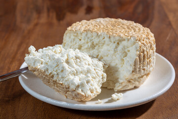 Polish skimmed fresh smoked milk twarog cheese, white cow cheese compared to curd, quark, or...