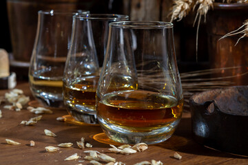 Speyside scotch whisky tasting on old dark wooden vintage table with barley grains close up
