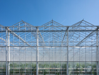 Naklejka premium All seasons fresh vegetables, fruits and flowers, agriculture in Netherlands, big modern greeenhouses in Limburg, exterior view