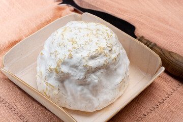 Cheese collection, soft cow French cheese with mold Gaperon artisanal lavored with cracked peppercorns and garlic produced in Auvergne