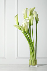 Beautiful calla lily flowers in vase on white table