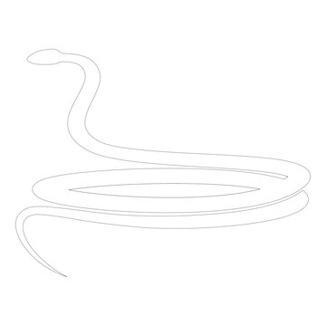 snake vector icon