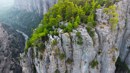Huge cliffs with forest at summer. Beautiful nature miracle in Turkey. National park area. Pure untouched nature. Dense mixed forest at the top of a mountain cliff.