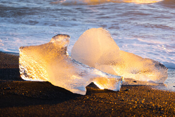 Pure glacier ice shining at sunset. Black volcanic sand at ocean coast. Pure ocean waves crash golden icebergs in Iceland. Diamond beach - famous tourist location in north Europe country.