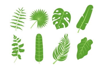 set of green tropical leaves illustration on white background