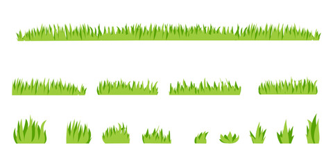illustration of a grass or bush isolated in white background