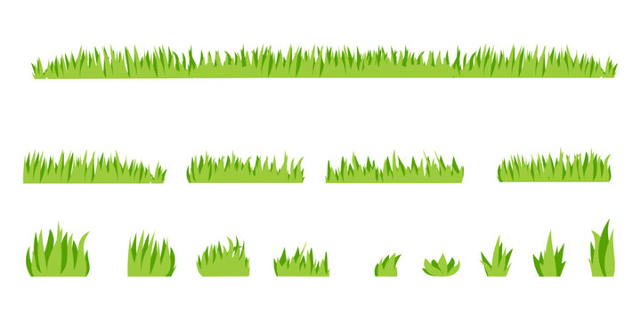 illustration of a grass or bush isolated in white background